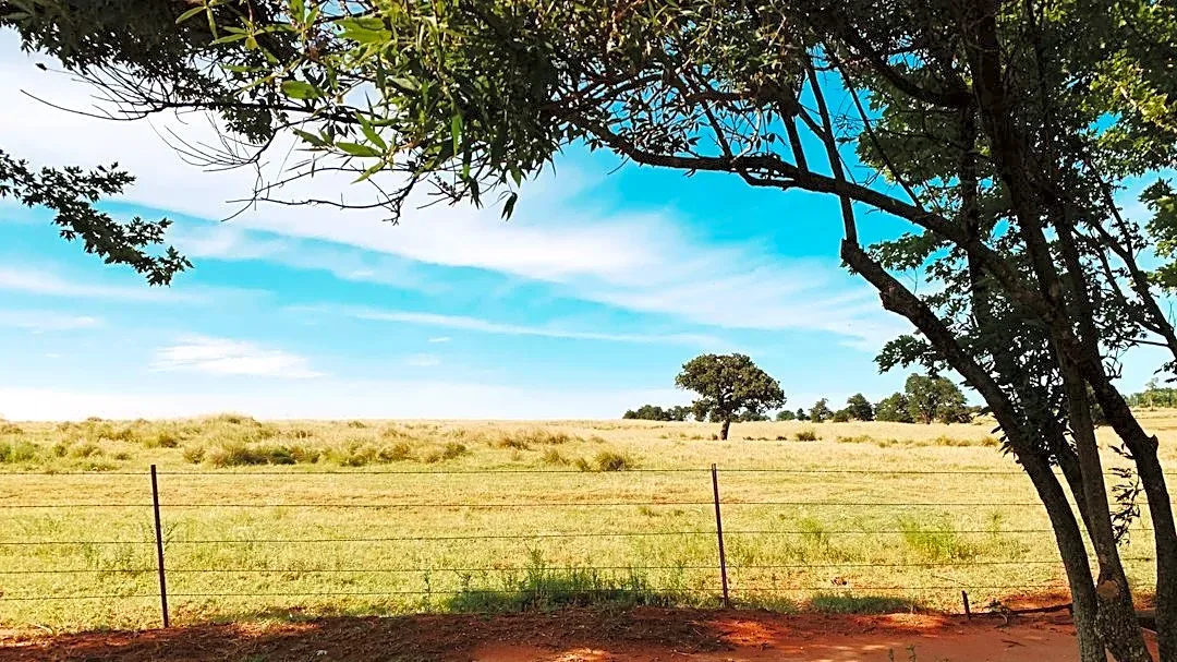 Oklahoma Researchers Tackle Grassland Decline
