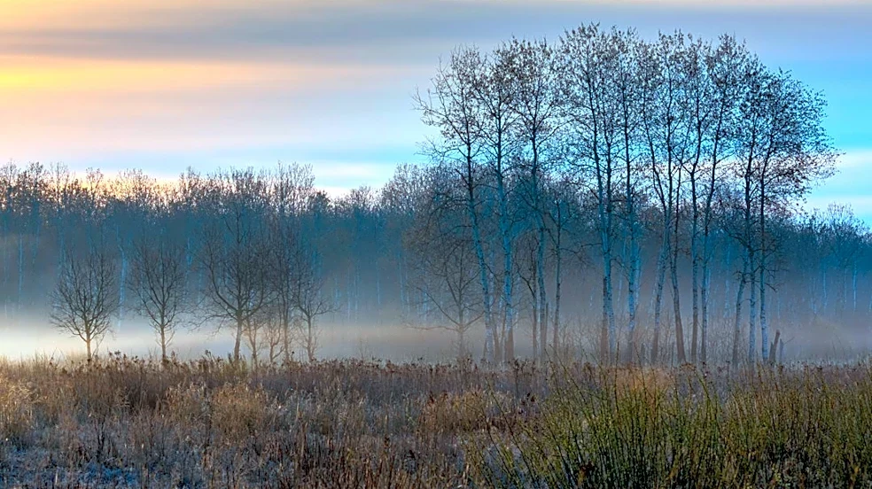 Midwest Faces Extended Fall Allergy Season in 2026