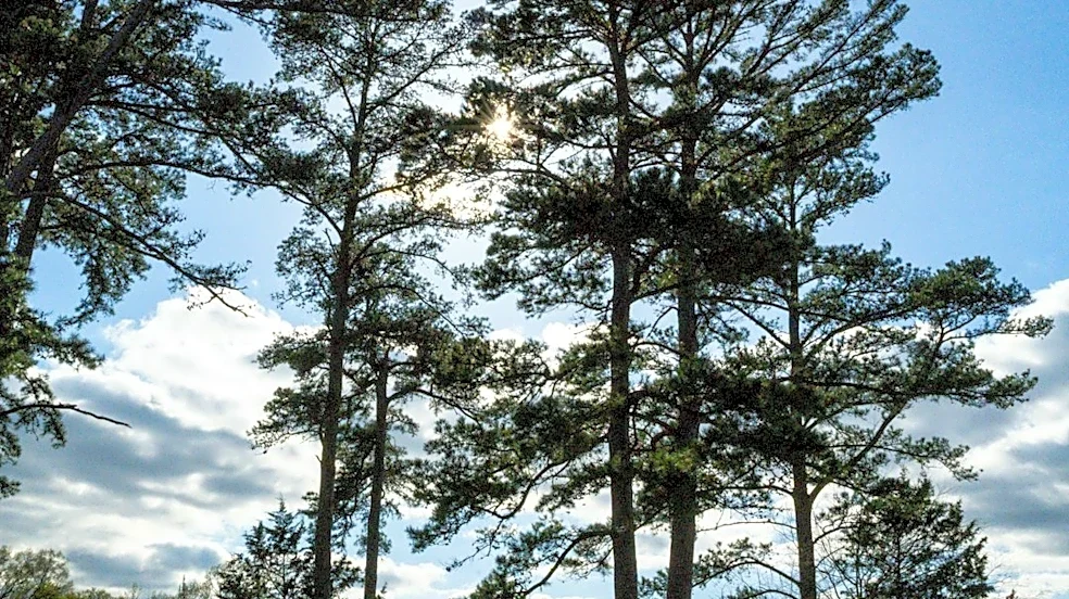 East Texas to Stay Warm and Dry Through October