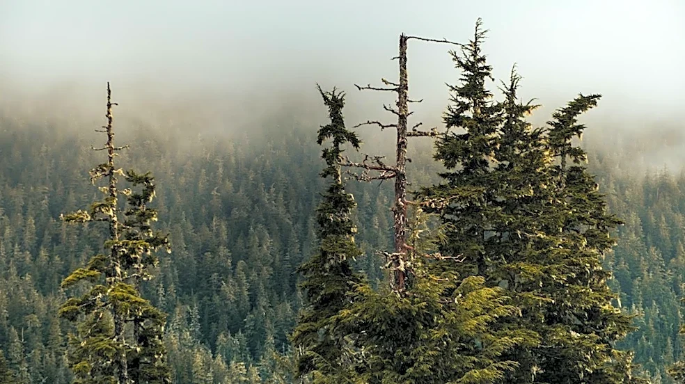 High Winds and Flooding Hit Southeast Alaska