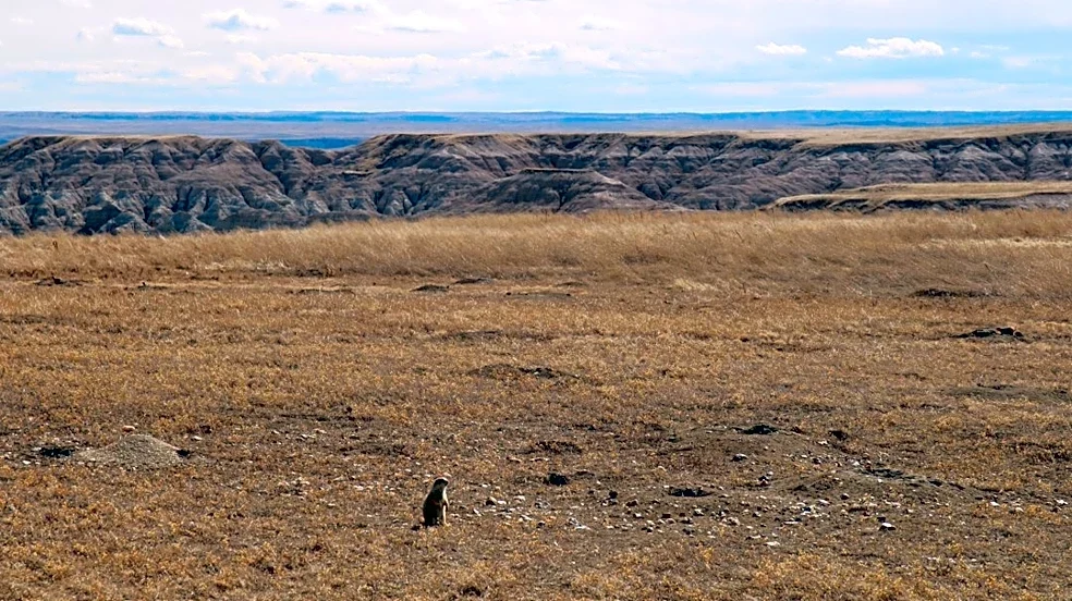 South Dakota Counties Declared Disaster Areas Due to Drought