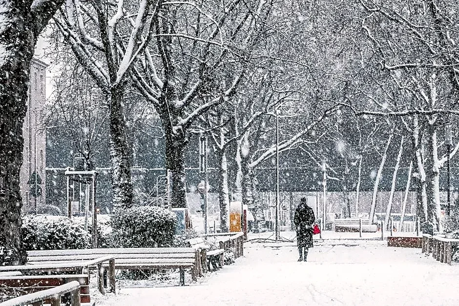 Super El Niño Could Bring Big Storms, but Will It Bring Snow?