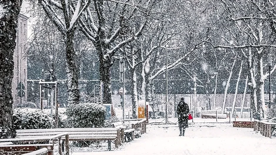 Super El Niño Could Bring Big Storms, but Will It Bring Snow?