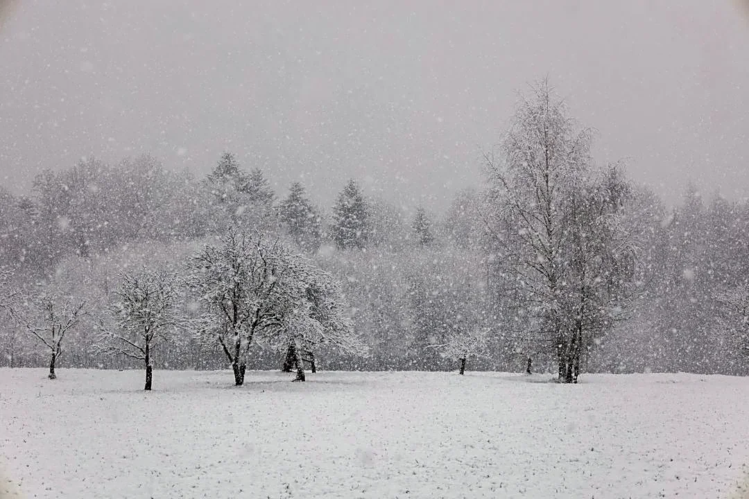 Farmers' Almanac Predicts Mixed Winter Weather
