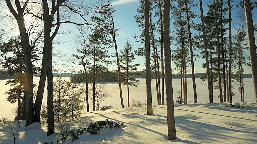 Michigan Snow Depth Reaches Up to 40 Inches