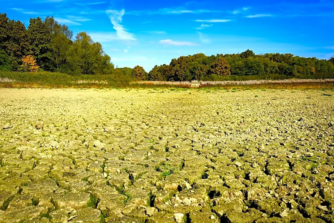 Drought Disaster Declarations Rise in Upper Midwest