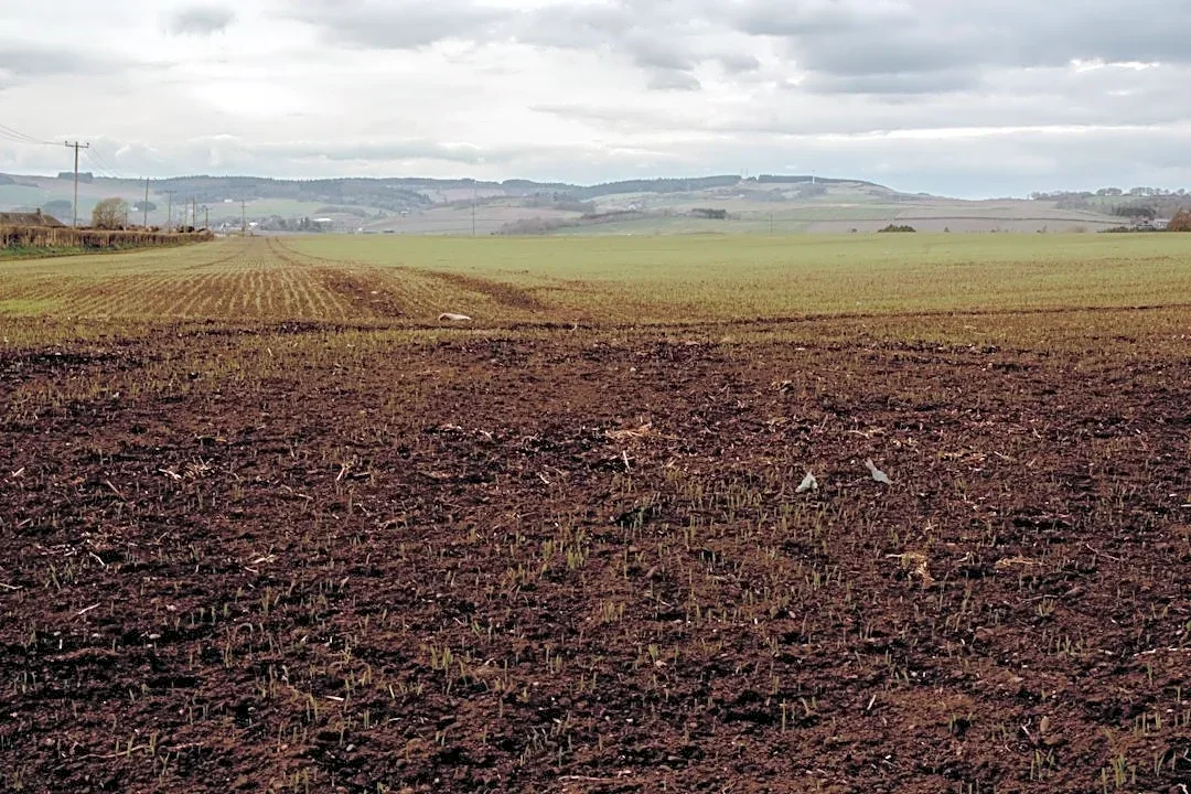 Severe Drought Challenges Southern Great Plains Agriculture