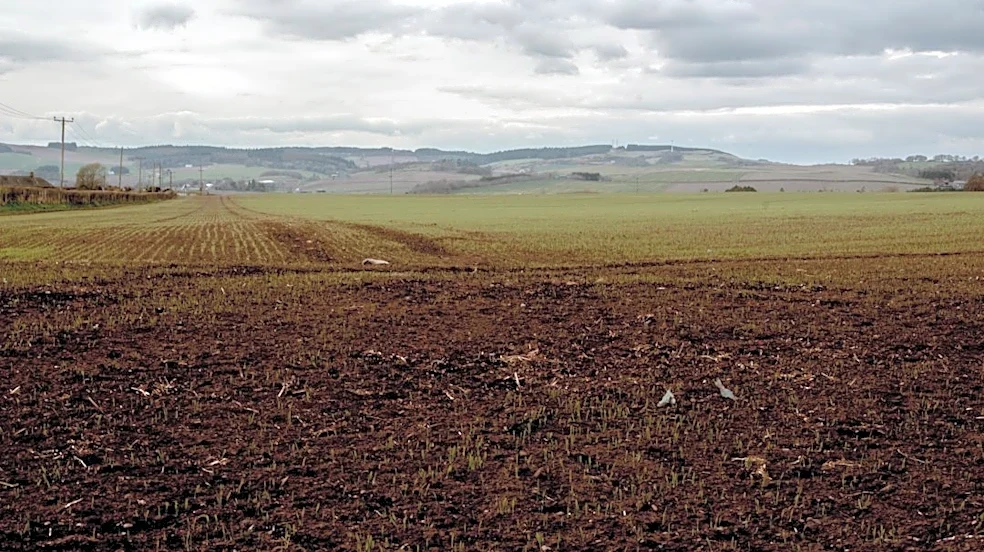 Severe Drought Challenges Southern Great Plains Agriculture