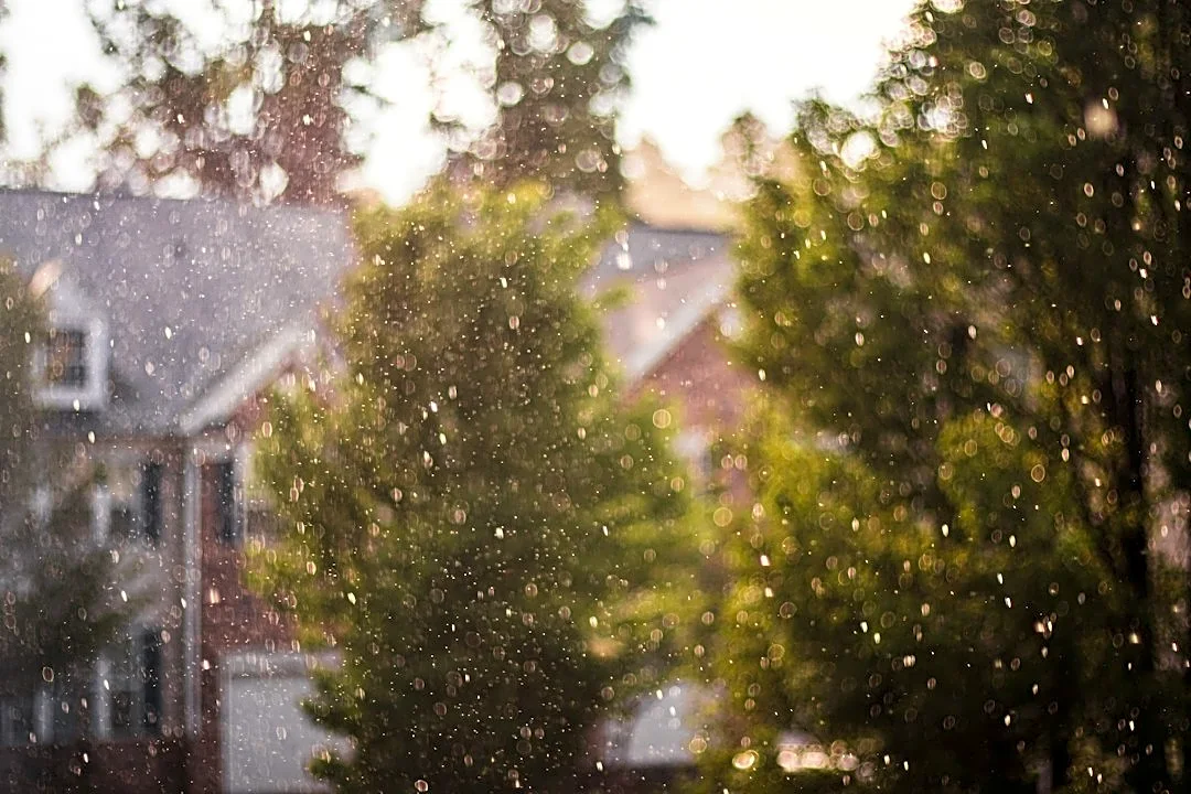 Farmers' Almanac Predicts Favorable Thanksgiving Weather Across the U.S.