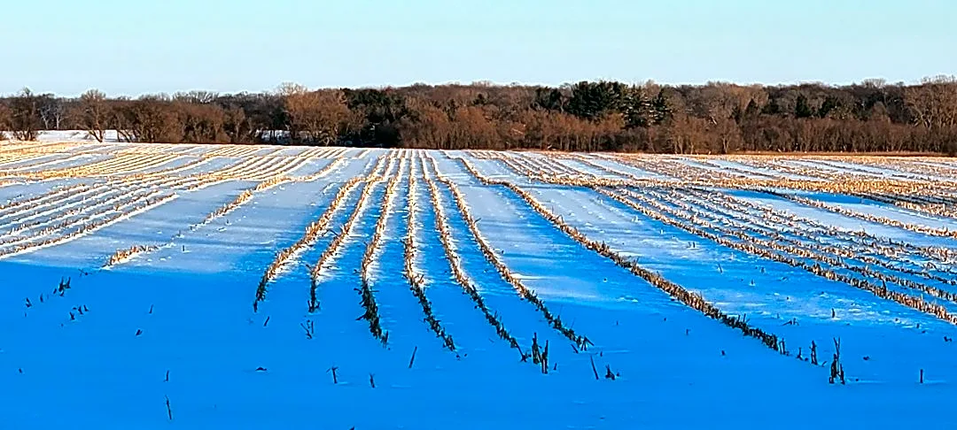 Exceptional Drought Conditions Persist in Illinois