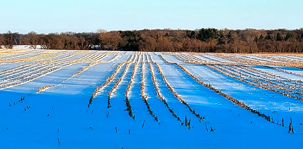 Exceptional Drought Conditions Persist in Illinois