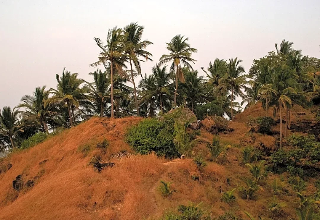 Dry Weather Persists in Paradise, Minimal Precipitation