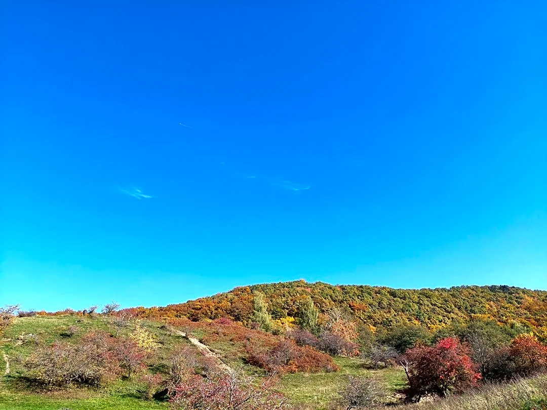 How to Enjoy and Prepare for Crisp Fall Weather