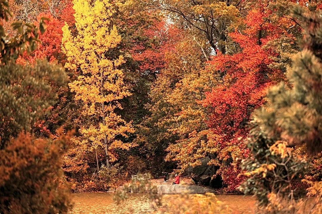 Understanding El Niño: How It Impacts Weather and Ecosystems