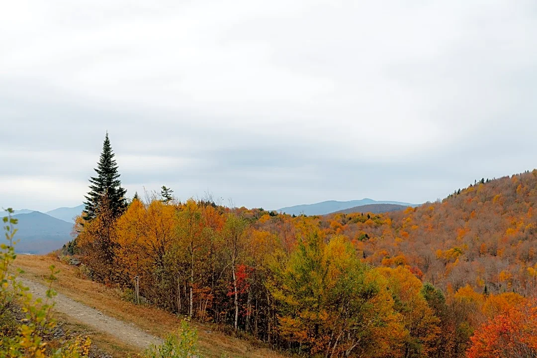 How Weather Shapes Fall Foliage Across the U.S.