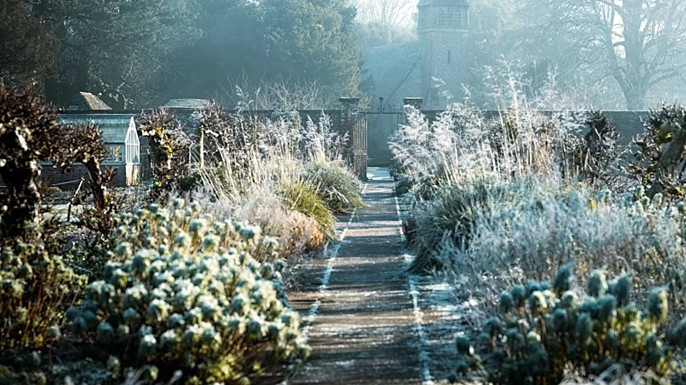Understanding Alabama's First Freeze Dates: A Seasonal Guide