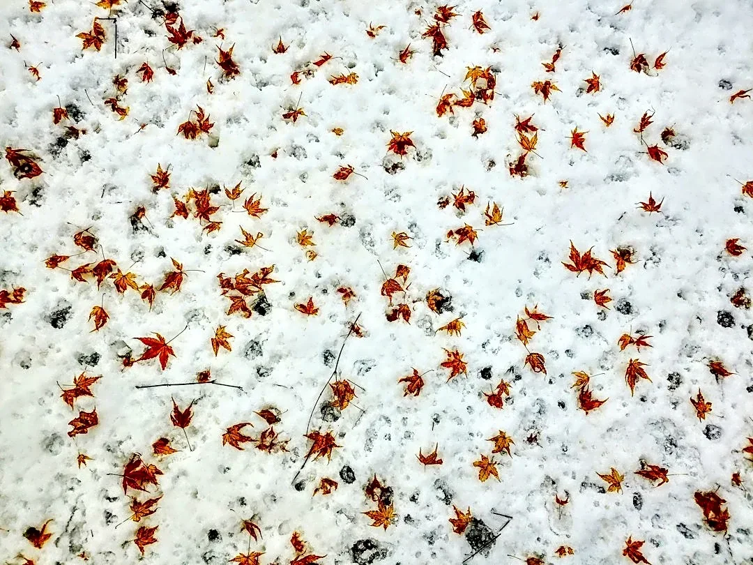 Snow Predicted for Halloween in Upper Midwest and Alaska