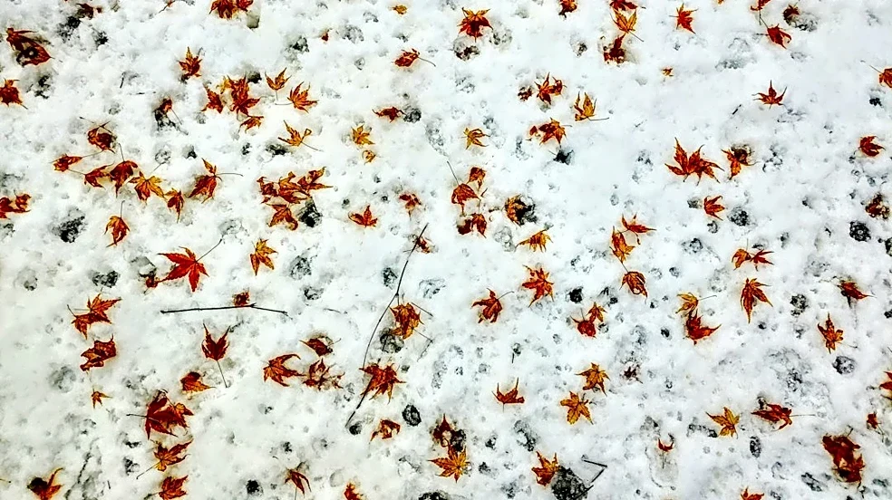 Snow Predicted for Halloween in Upper Midwest and Alaska