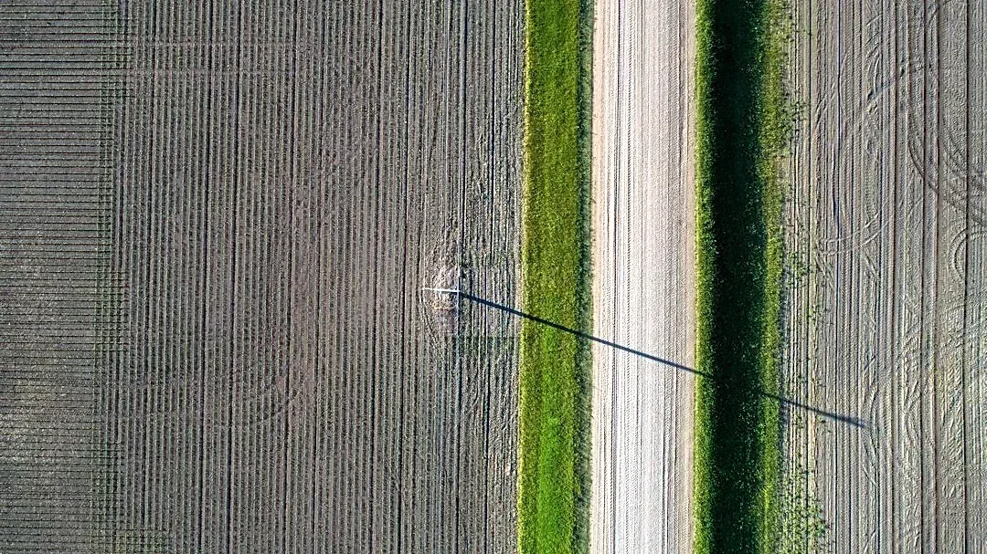 Minnesota Farmers Face Mixed Harvest Amid Drought