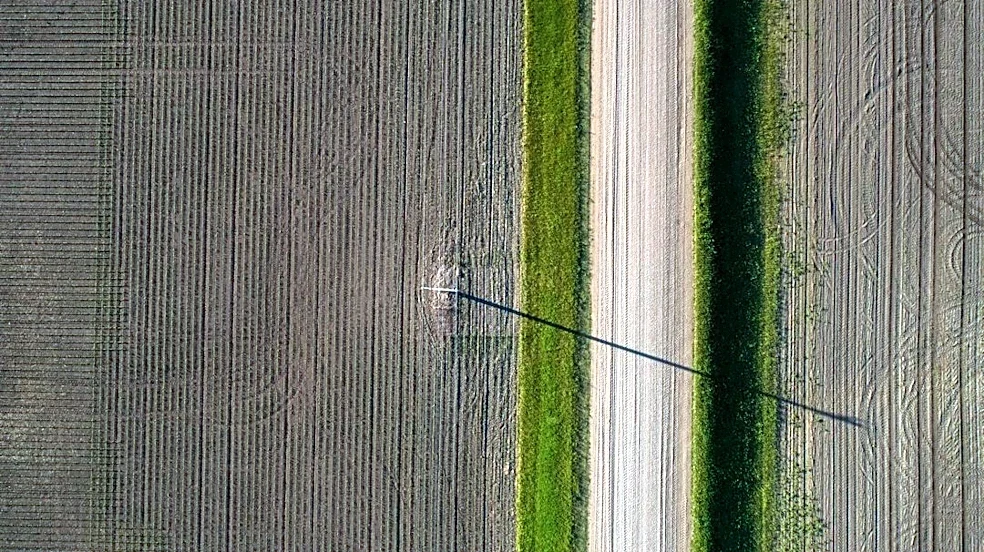 Minnesota Farmers Face Mixed Harvest Amid Drought