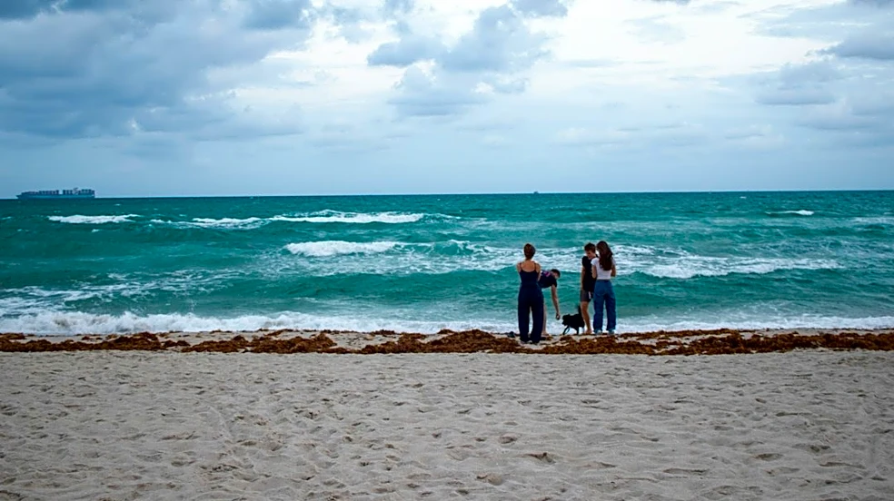 King Tides and Heavy Rain to Cause Flooding in South Florida