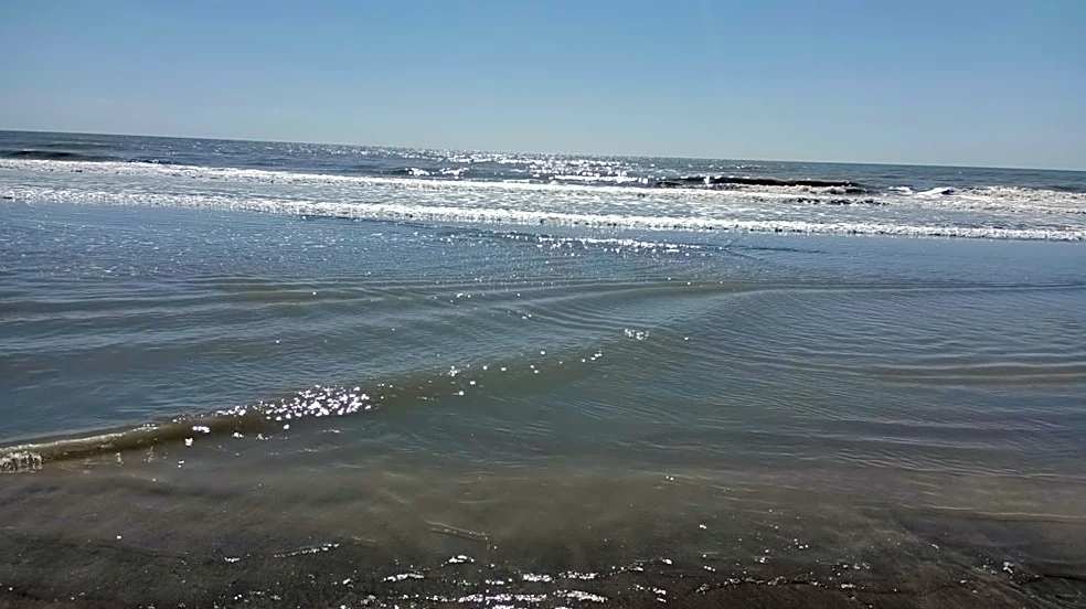 Coastal Flood Advisory and Rip Currents in NCFL