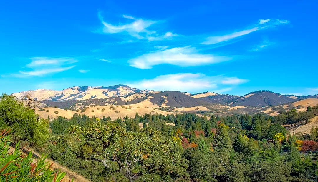 Sunny Thanksgiving Forecast for California in 2026