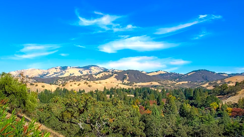 Sunny Thanksgiving Forecast for California in 2026