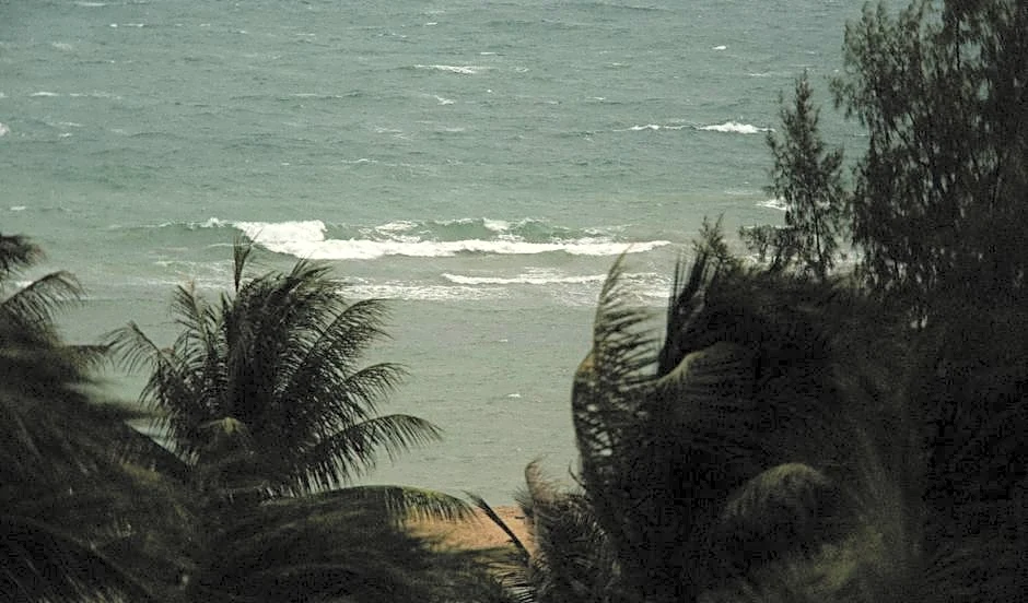 Tropical Storm Vance Hits Rare Pacific Milestone Since 2018
