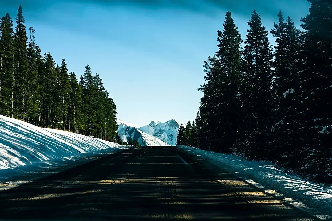 Yellowstone National Park Roads to Close for Winter Season on November 1, 2026