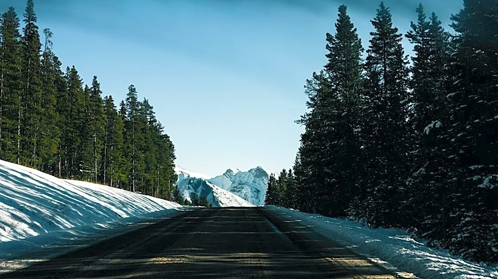 Yellowstone National Park Roads to Close for Winter Season on November 1, 2026