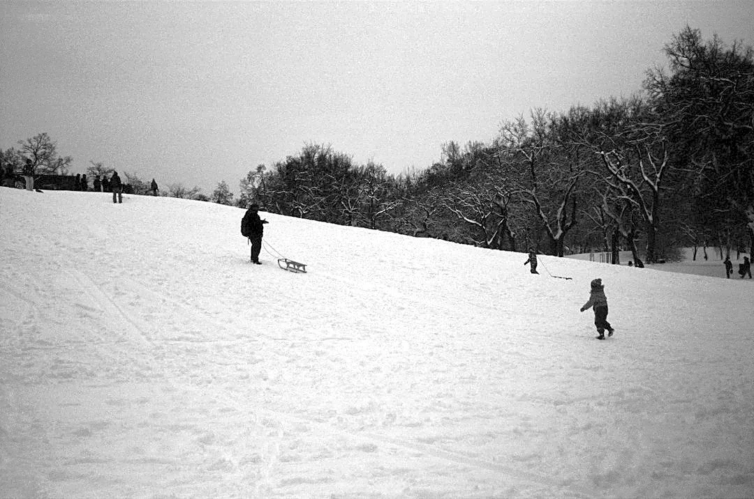 Verde Park Sledding Remains Open Amid Safety Concerns