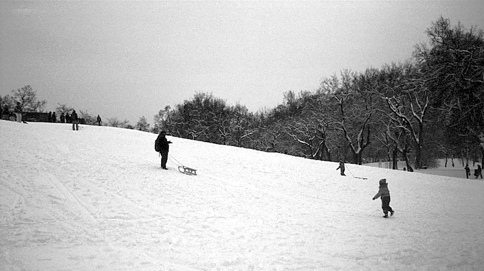 Verde Park Sledding Remains Open Amid Safety Concerns