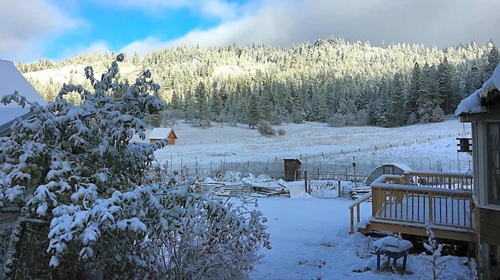 Freeze Watch Issued for Oregon Until Saturday Morning