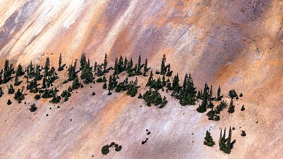 Utah Wildfires Burn Over 560,000 Acres in 2026