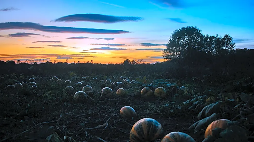 Connecticut Halloween Weather Expected to Be Near Normal