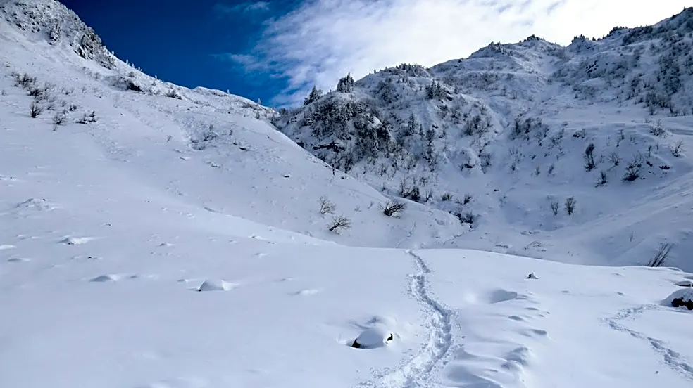 Colorado Snowstorm Triggers Hunter Rescues
