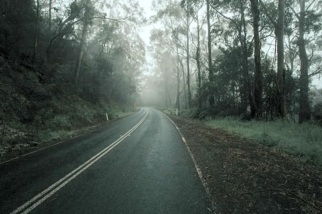 How to Stay Safe When Driving in Dense Fog
