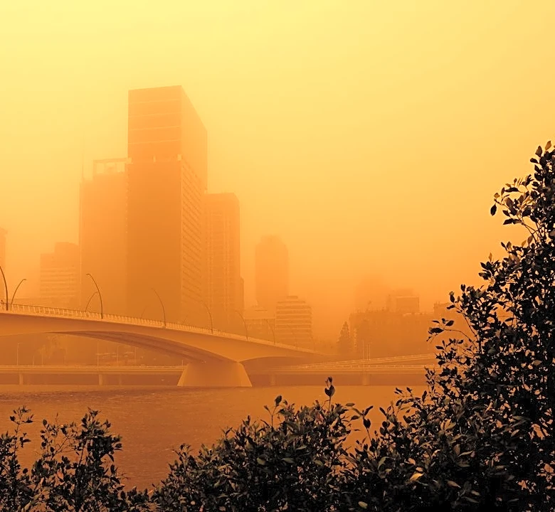 Fall Allergy Season Extends Due to Climate Change and Pollution