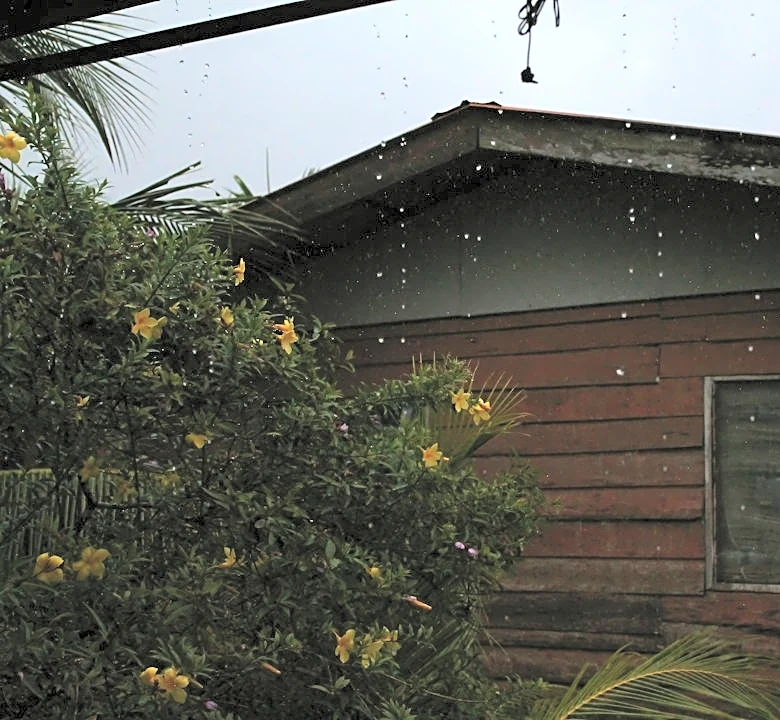 Mississippi Storm Case Highlights Insurance Dispute Over Roof Damage