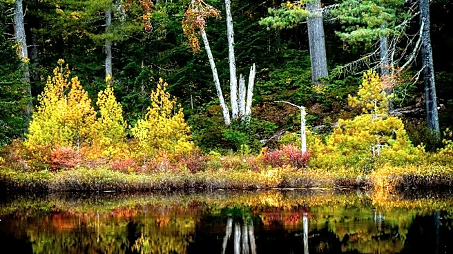 Maryland's Fall Foliage Nears Peak Colors