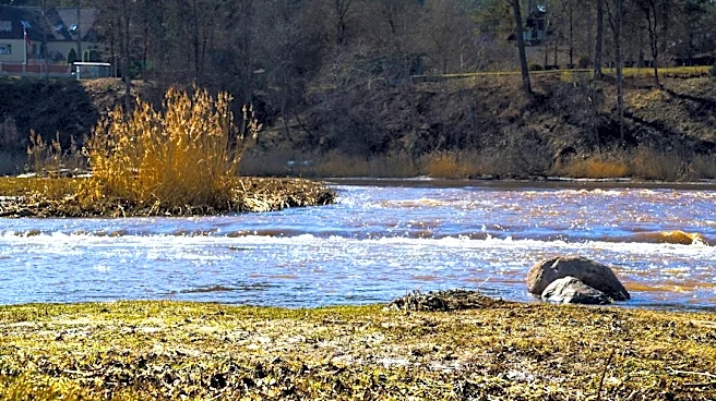 Flood Warning Issued for Montezuma County, CO