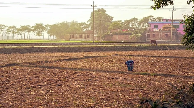 North Carolina Farmworkers Face Heatstroke Risks
