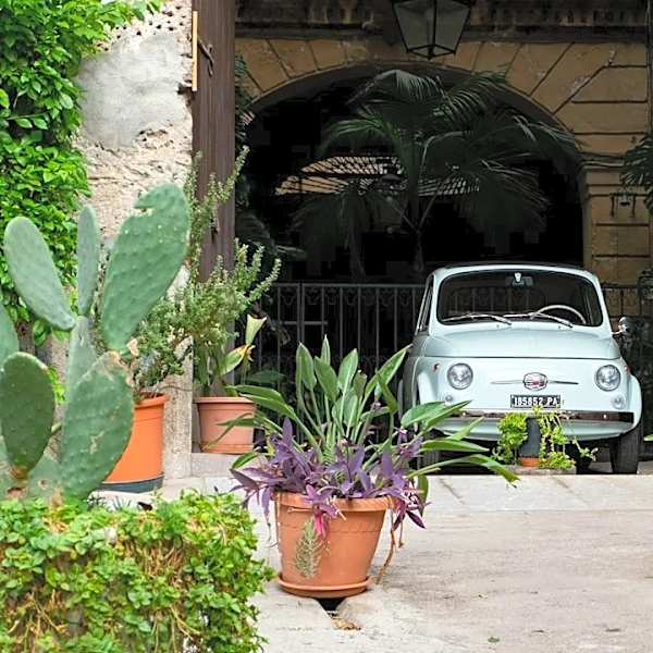 Garage Storage Can Save Plants From Frost Damage