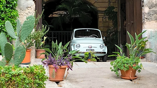 Garage Storage Can Save Plants From Frost Damage
