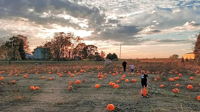 How to Plan for Halloween Weather: Tips for a Safe and Fun Night