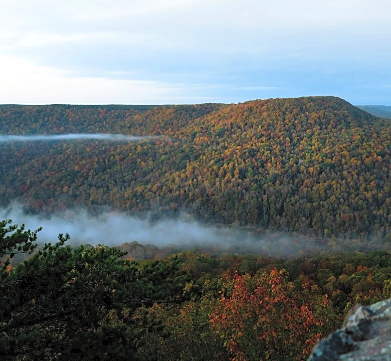 October 2026: Warmer Weather Trends in Tennessee