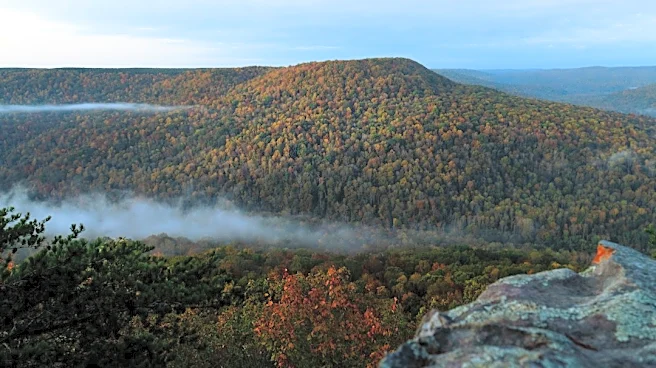 October 2026: Warmer Weather Trends in Tennessee