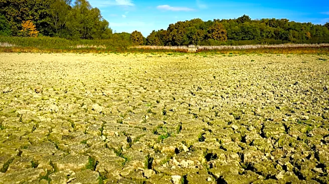 Exceptional Drought Conditions Persist in Duluth, MN