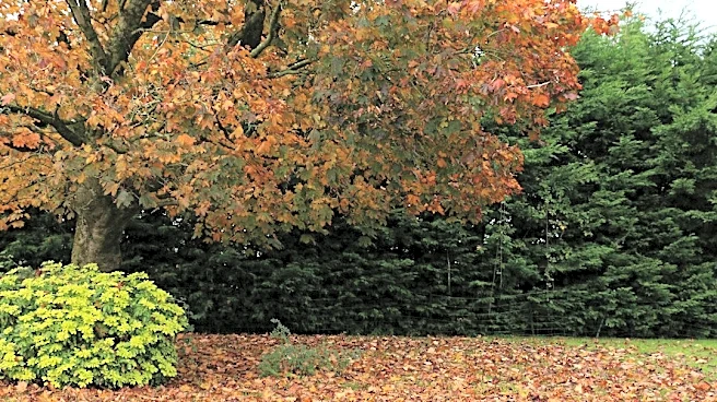 Wisconsin Yard & Garden: Mid-Fall Gardening Tips for Winter Preparation